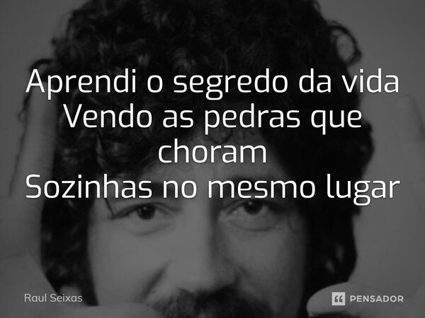 ⁠Aprendi o segredo da vida Vendo as pedras que choram Sozinhas no mesmo lugar... Frase de Raul Seixas.