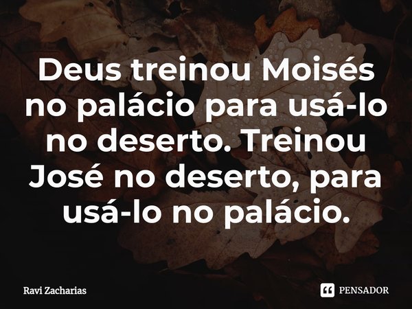 ⁠Deus treinou Moisés no palácio para usá-lo no deserto. Treinou José no deserto, para usá-lo no palácio.... Frase de Ravi Zacharias.