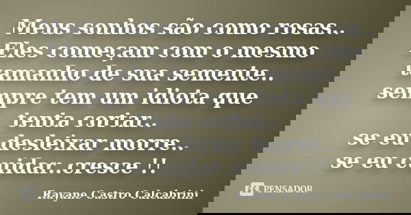 Meus sonhos são como rosas.. Eles começam com o mesmo tamanho de sua semente.. sempre tem um idiota que tenta cortar.. se eu desleixar morre.. se eu cuidar..cre... Frase de Rayane Castro Calcabrini.