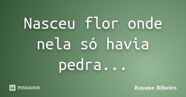 Nasceu flor onde nela só havia pedra...... Frase de Rayane Ribeiro.