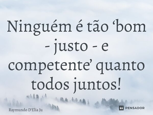⁠Ninguém é tão ‘bom - justo - e competente’ quanto todos juntos!... Frase de Raymundo DElia Junior.