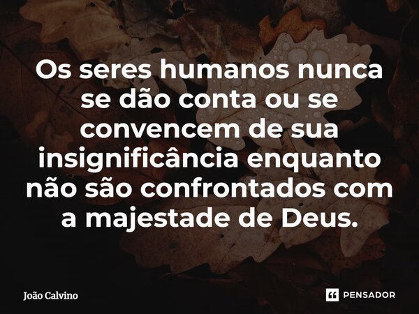 Os seres humanos nunca se dão conta ou se convencem de sua insignificância enquanto não são confrontados com a majestade de Deus.... Frase de João Calvino.