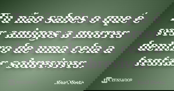 Tu não sabes o que é ver amigos a morrer dentro de uma cela a tentar sobreviver.... Frase de Real Poeta.
