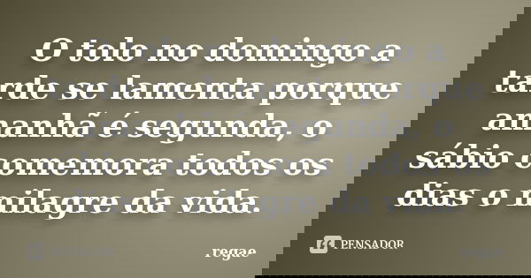 O tolo no domingo a tarde se lamenta porque amanhã é segunda, o sábio comemora todos os dias o milagre da vida.... Frase de regae.