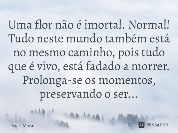 ⁠Uma flor não é imortal. Normal! Tudo neste mundo também está no mesmo caminho, pois tudo que é vivo, está fadado a morrer. Prolonga-se os momentos, preservando... Frase de Reges Morais.