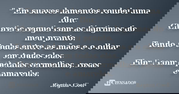 " Em suaves lamentos roubei uma flor. Chorei e reguei com as lágrimas do meu pranto. Tenho todas entre as mãos e o olhar em todas elas. Flor ! com pétalas ... Frase de Regina Coeli.