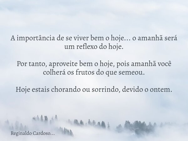 A importância de se viver bem o hoje... o amanhã será um reflexo do hoje. Por tanto, aproveite bem o hoje, pois amanhã você colherá os frutos do que semeou. Hoj... Frase de Reginaldo Cardoso....