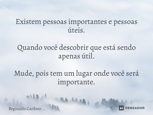 ⁠Existem pessoas importantes e pessoas úteis. Quando você descobrir que está sendo apenas útil. Mude, pois tem um lugar onde você será importante.... Frase de Reginaldo Cardoso....