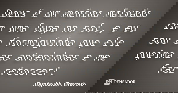 Deus é um menino malvado com uma lupa no sol, e eu sou a formiguinha que ele queima as anteninhas e me faz retorcer!... Frase de Reginaldo Favareto.