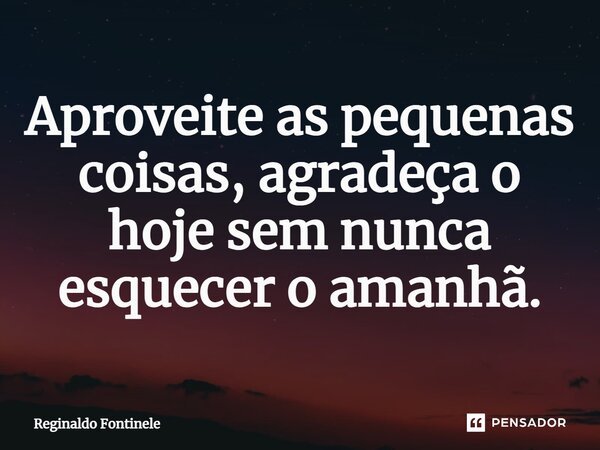 ⁠Aproveite as pequenas coisas, agradeça o hoje sem nunca esquecer o amanhã.... Frase de Reginaldo Fontinele.