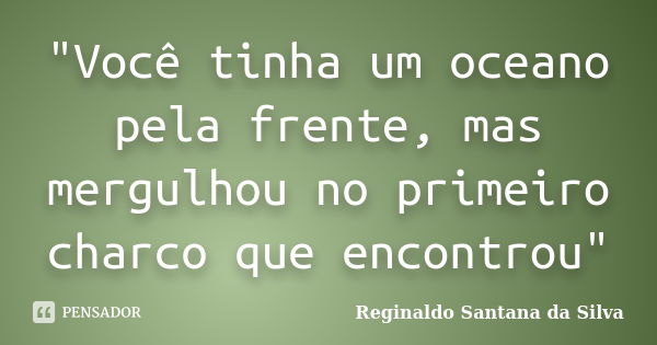 "Você tinha um oceano pela frente, mas mergulhou no primeiro charco que encontrou"... Frase de Reginaldo Santana da Silva.