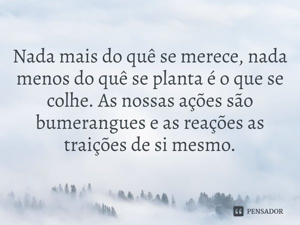⁠Nada mais do quê se merece, nada menos do quê se planta é o que se colhe. As nossas ações são bumerangues e as reações as traições de si mesmo.... Frase de Régis L. Meireles.
