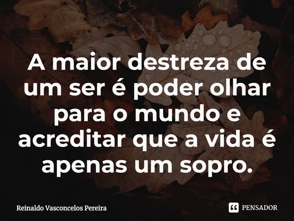 ⁠A maior destreza de um ser é poder olhar para o mundo e acreditar que a vida é apenas um sopro.... Frase de Reinaldo Vasconcelos Pereira.