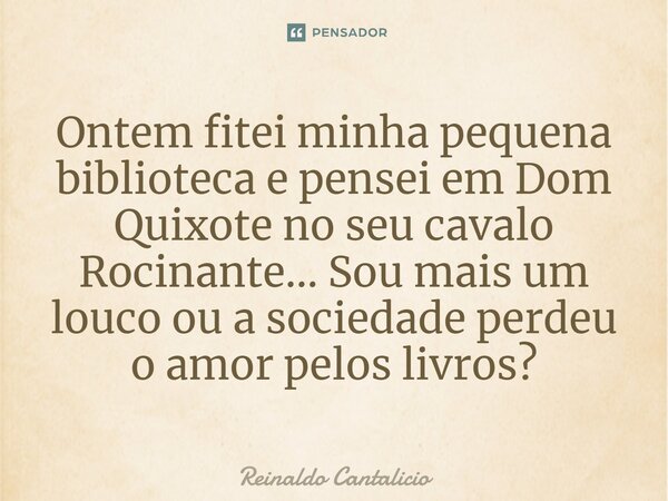 Ontem fitei minha pequena biblioteca e pensei em Dom Quixote no seu cavalo Rocinante... Sou mais um louco ou a sociedade perdeu o amor pelos livros?⁠... Frase de Reinaldo Cantalicio.