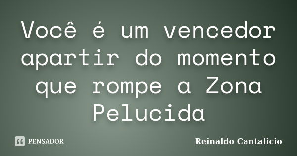 Você é um vencedor apartir do momento que rompe a Zona Pelucida... Frase de Reinaldo Cantalicio.