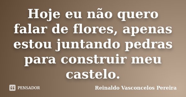 Hoje eu não quero falar de flores, apenas estou juntando pedras para construir meu castelo.... Frase de Reinaldo Vasconcelos Pereira.