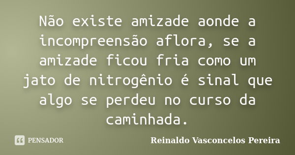 Não existe amizade aonde a incompreensão aflora, se a amizade ficou fria como um jato de nitrogênio é sinal que algo se perdeu no curso da caminhada.... Frase de Reinaldo Vasconcelos Pereira.