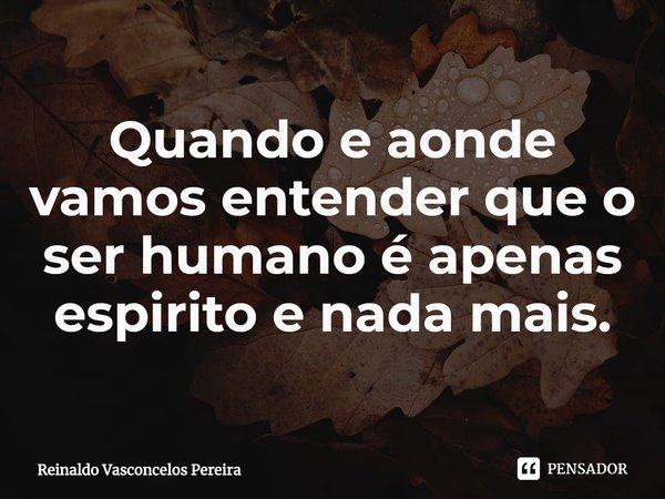 ⁠Quando e aonde vamos entender que o ser humano é apenas espirito e nada mais.... Frase de Reinaldo Vasconcelos Pereira.