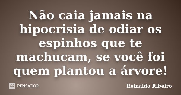Não caia jamais na hipocrisia de odiar os espinhos que te machucam, se você foi quem plantou a árvore!... Frase de Reinaldo Ribeiro.