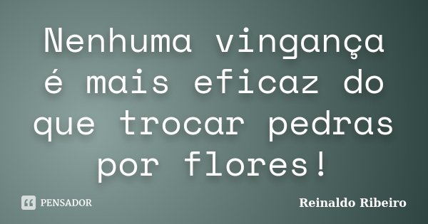 Nenhuma vingança é mais eficaz do que trocar pedras por flores!... Frase de Reinaldo Ribeiro.