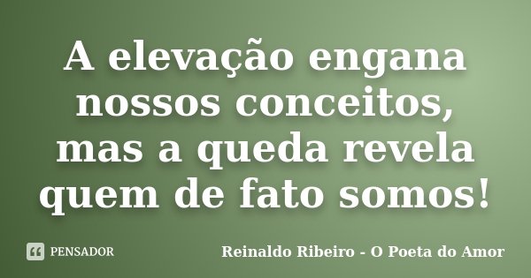 A elevação engana nossos conceitos, mas a queda revela quem de fato somos!... Frase de Reinaldo Ribeiro - O Poeta do Amor.