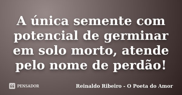 A única semente com potencial de germinar em solo morto, atende pelo nome de perdão!... Frase de Reinaldo Ribeiro - O poeta do Amor.