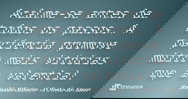 Acalme-se antes de todos os passos. A paciência promove muito mais vitórias que a valentia!... Frase de Reinaldo Ribeiro - O poeta do Amor.