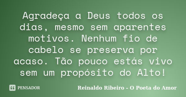 Agradeça a Deus todos os dias, mesmo sem aparentes motivos. Nenhum fio de cabelo se preserva por acaso. Tão pouco estás vivo sem um propósito do Alto!... Frase de Reinaldo Ribeiro - O poeta do Amor.