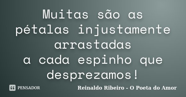 Muitas são as pétalas injustamente arrastadas a cada espinho que desprezamos!... Frase de Reinaldo Ribeiro - O poeta do Amor.