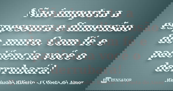 Não importa a espessura e dimensão do muro. Com fé e paciência você o derrubará!... Frase de Reinaldo Ribeiro - O poeta do Amor.