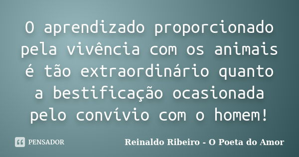 O aprendizado proporcionado pela vivência com os animais é tão extraordinário quanto a bestificação ocasionada pelo convívio com o homem!... Frase de Reinaldo Ribeiro - O Poeta do Amor.