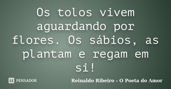 Os tolos vivem aguardando por flores. Os sábios, as plantam e regam em si!... Frase de Reinaldo Ribeiro - O Poeta do Amor.