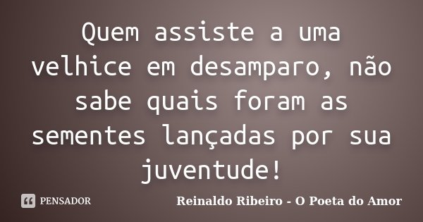 Quem assiste a uma velhice em desamparo, não sabe quais foram as sementes lançadas por sua juventude!... Frase de Reinaldo Ribeiro - O Poeta do Amor.
