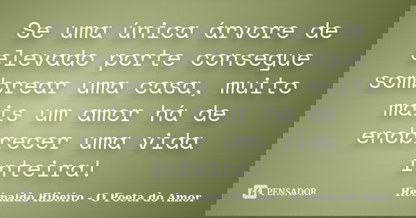 Se uma única árvore de elevado porte consegue sombrear uma casa, muito mais um amor há de enobrecer uma vida inteira!... Frase de Reinaldo Ribeiro - O poeta do Amor.
