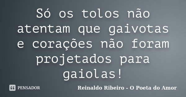 Só os tolos não atentam que gaivotas e corações não foram projetados para gaiolas!... Frase de Reinaldo Ribeiro - O poeta do Amor.