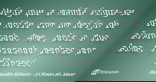 Veja que a manhã vinga-se da noite com um beijo de alvorada. Ame, pois a tua alma, trocando pedras por flores!... Frase de Reinaldo Ribeiro - O poeta do Amor.