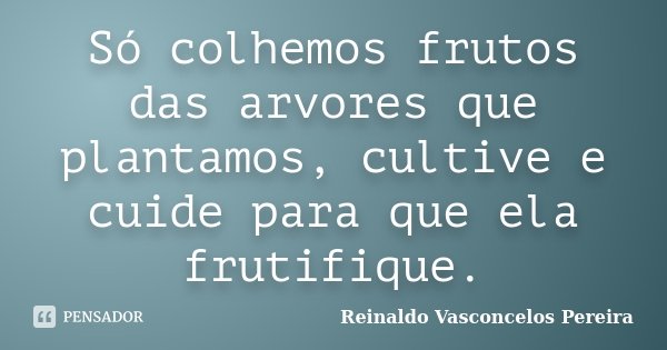 Só colhemos frutos das arvores que plantamos, cultive e cuide para que ela frutifique.... Frase de Reinaldo Vasconcelos Pereira.