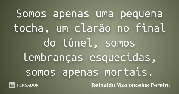 Somos apenas uma pequena tocha, um clarão no final do túnel, somos lembranças esquecidas, somos apenas mortais.... Frase de Reinaldo Vasconcelos Pereira.