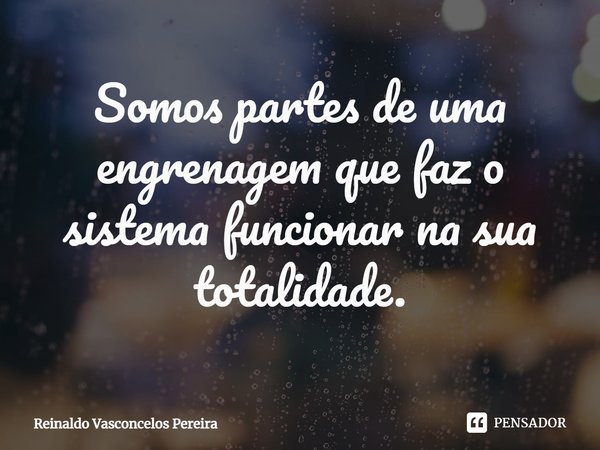 ⁠Somos partes de uma engrenagem que faz o sistema funcionar na sua totalidade.... Frase de Reinaldo Vasconcelos Pereira.