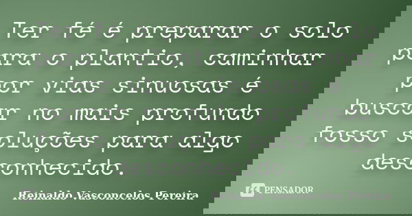 Ter fé é preparar o solo para o plantio, caminhar por vias sinuosas é buscar no mais profundo fosso soluções para algo desconhecido.... Frase de Reinaldo Vasconcelos Pereira.