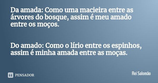 Da amada: Como uma macieira entre as árvores do bosque, assim é meu amado entre os moços. Do amado: Como o lírio entre os espinhos, assim é minha amada entre as... Frase de Rei Salomão.