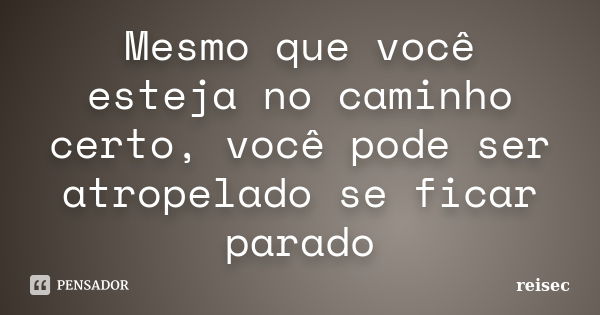 Mesmo que você esteja no caminho certo, você pode ser atropelado se ficar parado... Frase de Reisec.