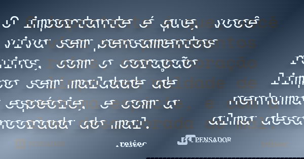 O importante é que, você viva sem pensamentos ruins, com o coração limpo sem maldade de nenhuma espécie, e com a alma desancorada do mal.... Frase de reisec.