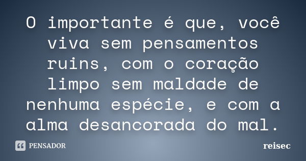 O importante é que, você viva sem pensamentos ruins, com o coração limpo sem maldade de nenhuma espécie, e com a alma desancorada do mal.... Frase de reisec.