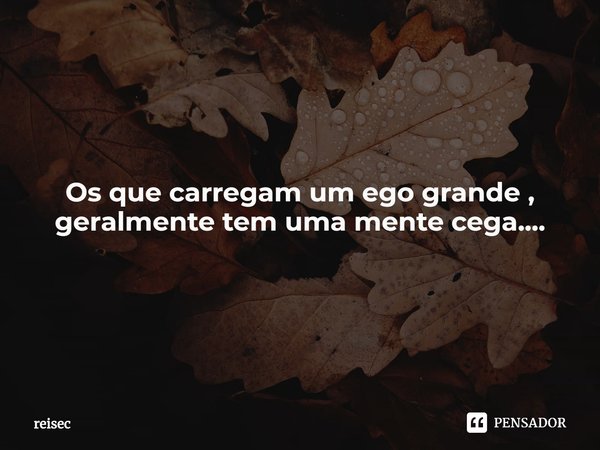 Os que carregam um ego grande , geralmente tem uma mente cega....... Frase de reisec.
