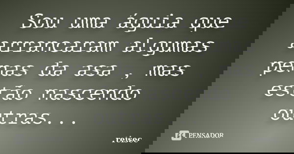 Sou uma águia que arrancaram algumas penas da asa , mas estão nascendo outras...... Frase de reisec.