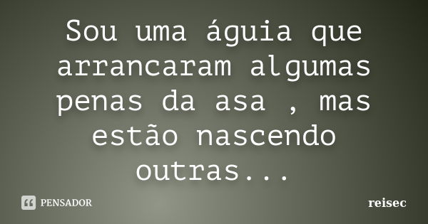 Sou uma águia que arrancaram algumas penas da asa , mas estão nascendo outras...... Frase de reisec.