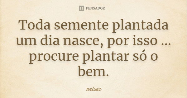 Toda semente plantada um dia nasce, por isso ... procure plantar só o bem.... Frase de reisec.