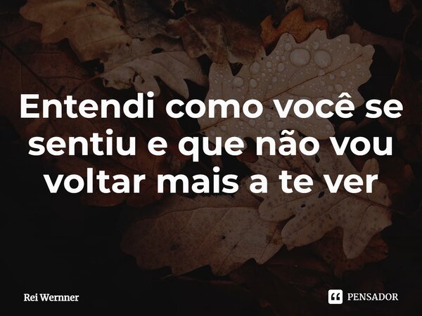 ⁠Entendi como você se sentiu e que não vou voltar mais a te ver... Frase de Rei Wernner.