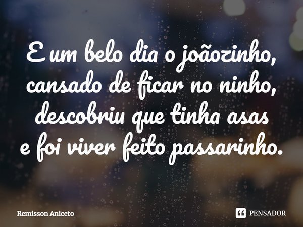 ⁠⁠E um belo dia o joãozinho, cansado de ficar no ninho, descobriu que tinha asas e foi viver feito passarinho.... Frase de Remisson Aniceto.